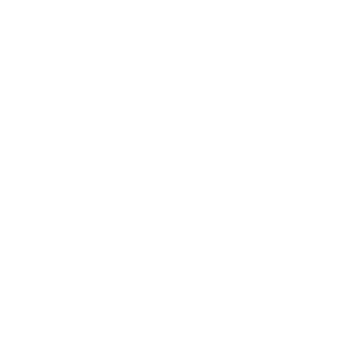 NSTHAI Logo