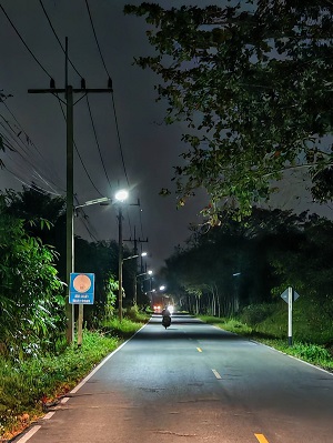 ผลงานยะลา