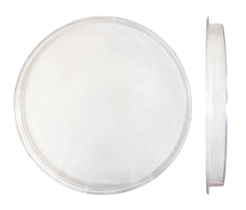 เลนส์ไฟจราจร